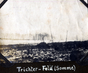 Trichterfeld in Somme während des Ersten Weltkriegs mit kahlen Bäumen und unbebautem Gelände