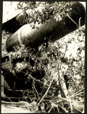 Reste eines beschädigten Panzers in der Natur sichtbar, umgeben von Pflanzen und verwittertem Terrain