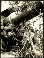 Reste eines beschädigten Panzers in der Natur sichtbar, umgeben von Pflanzen und verwittertem Terrain
