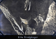 Bild eines 21 cm Blindgängers in einer Baumstamm-Dekontaminationsaktion