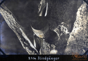 Bild eines 21 cm Blindgängers in einer Baumstamm-Dekontaminationsaktion