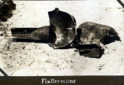 Reste einer Flattermine der Heerseinheit in einem geschichtsträchtigen Gebiet