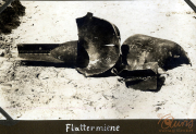 Reste einer Flattermine der Heerseinheit in einem geschichtsträchtigen Gebiet