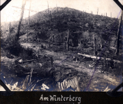 Zerstörte Landschaft am Winterberg nach Brand, mit Überresten und karger Vegetation