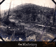 Zerstörte Landschaft am Winterberg nach Brand, mit Überresten und karger Vegetation