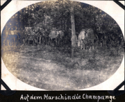 Einsatz der Fernspähtruppe im Jahr 1919 mit Packtieren im Marsch durch die Champagne