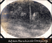 Einsatz der Fernspähtruppe im Jahr 1919 mit Packtieren im Marsch durch die Champagne