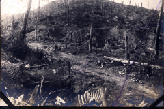 Zerstörte Landschaft am Winterberg nach Brand, mit Überresten und karger Vegetation