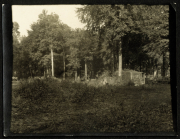 Aufnahme eines verlassenen Geländes im Wald während eines sonnigen Tages