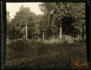 Aufnahme eines verlassenen Geländes im Wald während eines sonnigen Tages