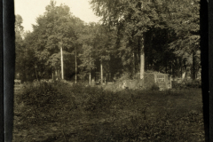 Aufnahme eines verlassenen Geländes im Wald während eines sonnigen Tages