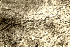 Historischer Mond-Surfbild