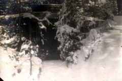 Schneebedeckte Waldlandschaft