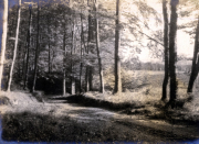 Eiserne Forststraße