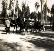 Historische Fotografie von Feldartilleristen