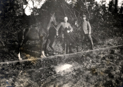 Offiziere mit Pferd in Feld umgestellt