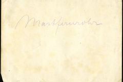 Mastfernrohr