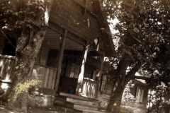 Historisches Haus im Wald