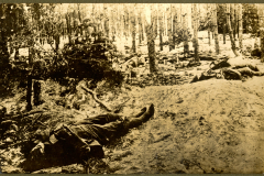 Soldaten in einem abgelegenen Waldgebiet, umgeben von der Trauer des Krieges