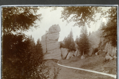 Felsformation auf dem Rigi mit Wanderweg und bewaldetem Hintergrund