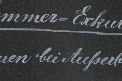 Georg Sommer Exkursion 1917 zu den Kulturen bei Tiefenberg