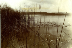 Ein Blick auf den ruhigen See mit Schilfrohr im Vordergrund und bewölktem Himmel am Ufer