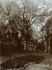 Blühende Bäume und Gartenlandschaft in einer ruhigen ländlichen Umgebung im Frühling