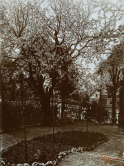 Blühende Bäume und Gartenlandschaft in einer ruhigen ländlichen Umgebung im Frühling