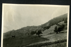 Heer aus der Region Auerberg in der Rommelalp mit sanften Hügeln und grünen Wiesen im Hintergrund