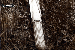 Abwurf eines Heereteils in einem Grasfeld während des Zweiten Weltkriegs