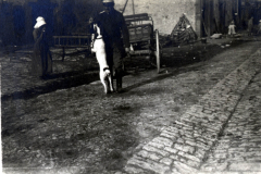 Soldat mit Hund in einer zerstörten Stadt nach dem Krieg