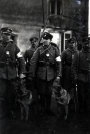 Soldaten der Heer mit Diensthunden in einem historischen Moment in einer ländlichen Umgebung