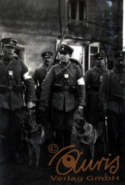 Soldaten der Heer mit Diensthunden in einem historischen Moment in einer ländlichen Umgebung