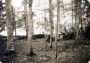 Historische Zusammenkunft im Wald mit Soldaten der Heer um 1940