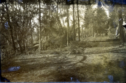 Waldlandschaft in der Nähe eines Truppenübungsplatzes während des Zweiten Weltkriegs