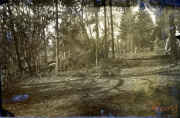 Waldlandschaft in der Nähe eines Truppenübungsplatzes während des Zweiten Weltkriegs