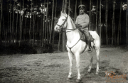 Ein Soldat der Heer reitet auf einem weißen Pferd in einem Waldgebiet