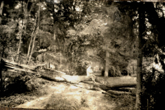 Ein Mann überquert einen umgestürzten Baum im Wald während eines sonnigen Tages