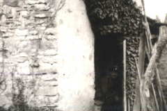 Eingang zu einem historischen Gebäude mit Pflanzenbewuchs und steiniger Wand in ländlicher Umgebung