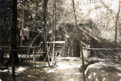 Heer Lagerstätte im Wald während des frühen 20. Jahrhunderts