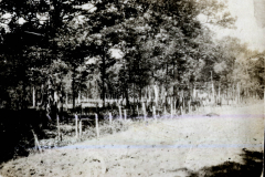 Heer im Wald im frühen 20. Jahrhundert bei einer militärischen Übung