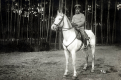 Ein Soldat der Heer reitet auf einem weißen Pferd in einem Waldgebiet