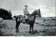 Rittmeister Bollert im III. Bataillon des IV. Thüringischen Infanterie-Regiments 72 auf seinem Pferd Boratina in der Natur