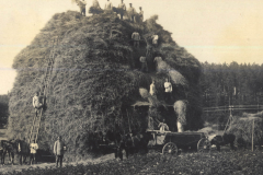 Hochstapeln von Heu durch das III. Bataillon des IV. Thüringischen Infanterie-Regiments 72 im ländlichen Deutschland