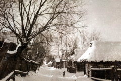 Schnee bedeckte Landschaft mit traditionellen Häusern in einer ruhigen ländlichen Umgebung