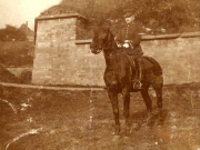 Soldat des III. Bataillons des IV. Thüringischen Infanterieregiments 72 auf einem Pferd