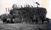 Soldaten des III. Batl. IV Thüring. Inf. Regt. 72 beim Heuernte in ländlicher Umgebung