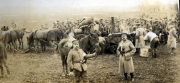 Soldaten des III. Bataillons des IV. Thüringer Infanterie-Regiments 72 beim Lagerleben während des Ersten Weltkriegs