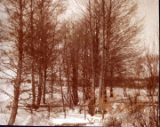 Bäume im Winterszenario mit Schnee und frostigem Wetter in Thüringen während des Ersten Weltkriegs