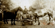 Soldat des III. Batl. IV Thüring. Inf. Regt. 72 mit Pferden in ländlicher Umgebung